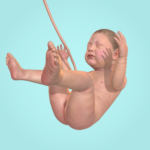 9 Months v 1.36.2 APK MOD Dinheiro Infinito